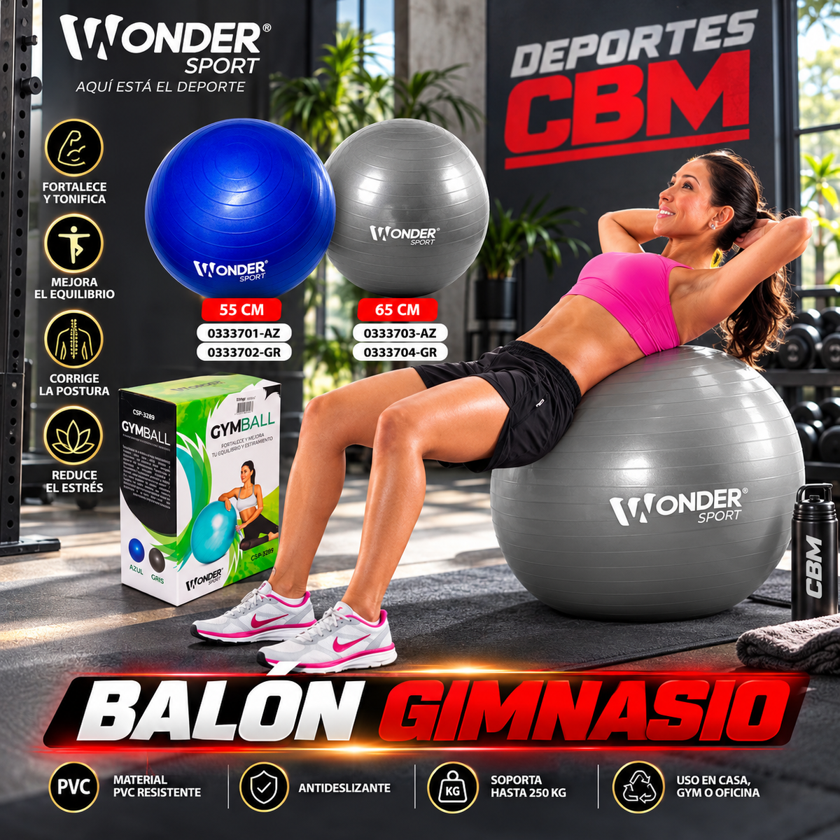 Balón de Yoga de 65 cm